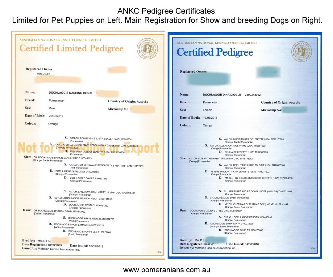 Example of Correct Pedigree Certificates.