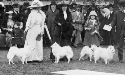 Pomeranian Judging Adelaide 1917