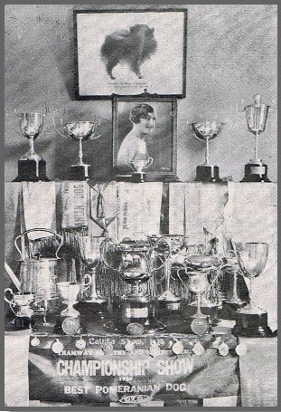 Cups and Trophies won by the "Leicester" Kennel of Pomeranians The "Leicester" Pomeranians where owned by Mrs Sandford of Caulfield, Victoria. Mrs Sandford, prior to her marriage was the well known Dancer, Miss May Till of London.