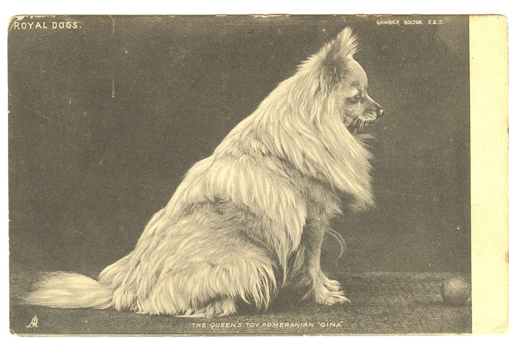 Queen Victoria's Pomeranians