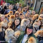 Melbourne Pomeranian Meet Up Winter 2019