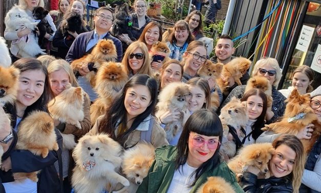 Melbourne Pomeranian Meet Up Winter 2019