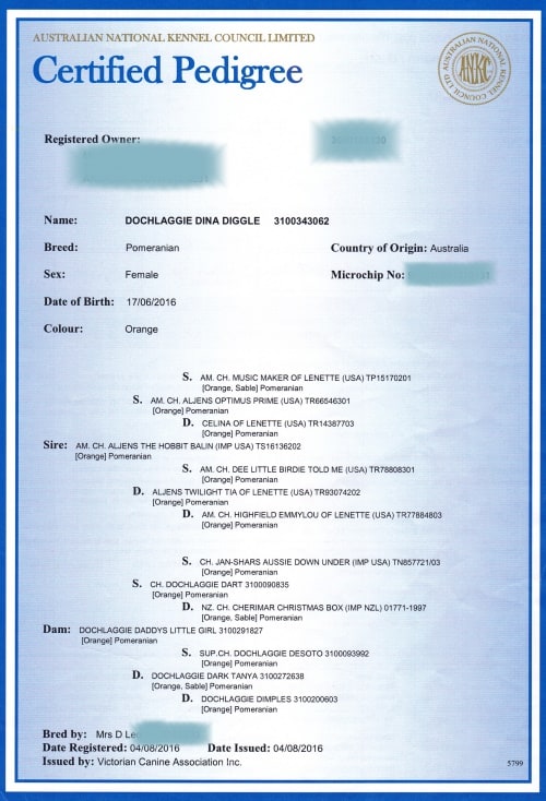 Main Registration Pedigree Certificate