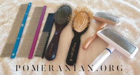 Pomeranian Grooming Equipment