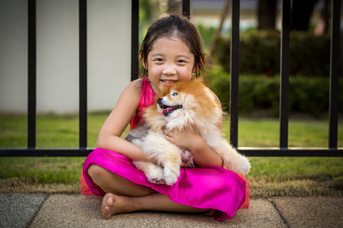Child with Pomeranian Dog