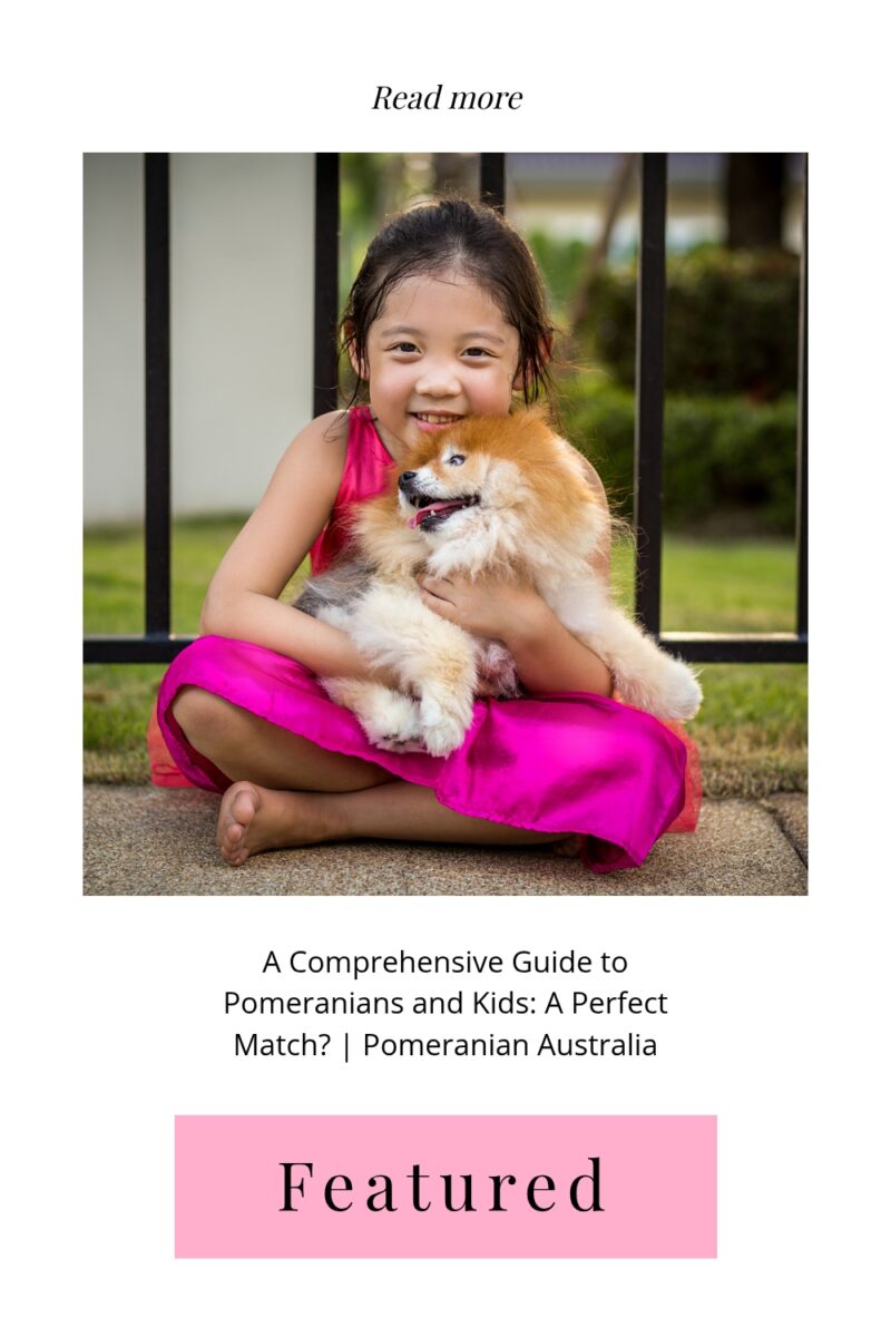 Pomeranian and child