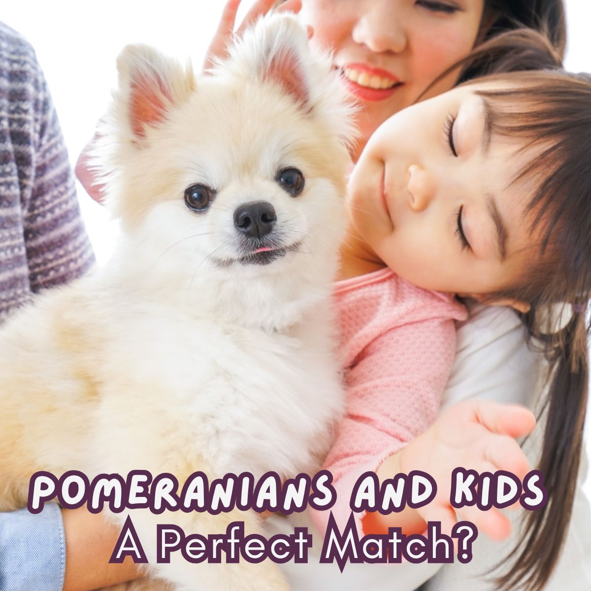 Pomeranian and child